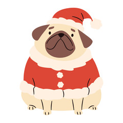 Flat vector illustration in a simple children's style. Cute pug in Santa Claus costume on white background . Vector illustration