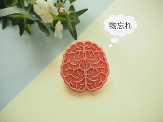 脳の模型と物忘れの文字