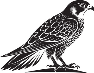 Obraz premium saker falcon vector illustration design