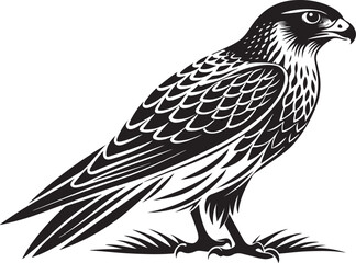 Fototapeta premium saker falcon vector illustration design