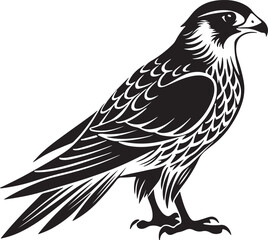 Obraz premium saker falcon vector illustration design
