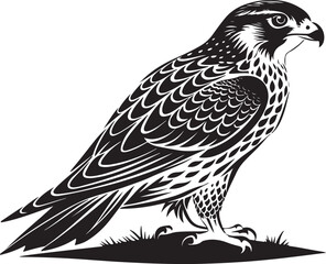Fototapeta premium saker falcon vector illustration design