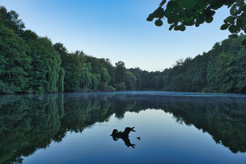 See am morgen -  Wasser - Landschaft - Wolken - Sommer - Umwelt - Brandenburg - Germany