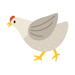 Chicken Vector Illustration - 02