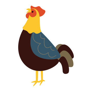 Chicken Vector Illustration - 08