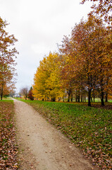 Autumn park path surrounded by colorful trees. A quiet dirt path winds through a park adorned with vibrant yellow and orange leaves. taken at eye level, the essence of fall in a serene natural setting