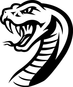 Illustration of cobra snake in engraving style. Design element for logo, label, emblem, sign, badge. Vector illustration