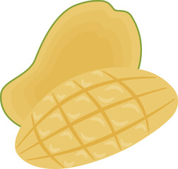 Slices of mango fruit vector illustration