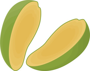 Slices of mango fruit vector illustration