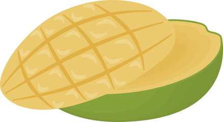 Slices of mango fruit vector illustration