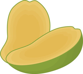 Slices of mango fruit vector illustration