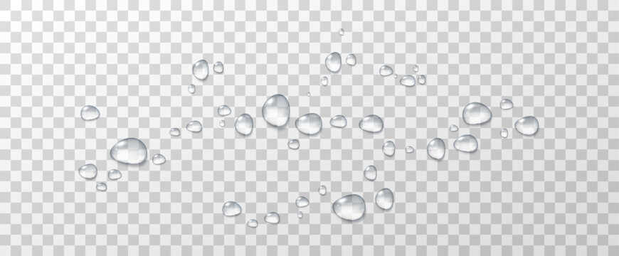 Realistic vector water drops png on a transparent light background. Water condensation on the surface with light reflection and realistic shadow. 3d vector illustration
