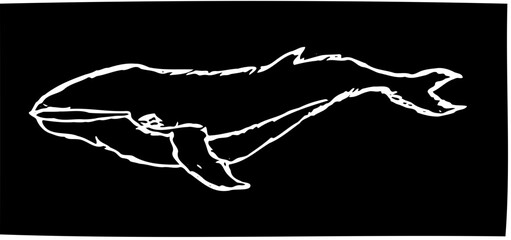 Whale 