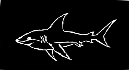 silhouette of a shark