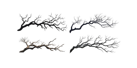 Obraz premium Set of giant dead branches with many branches white background