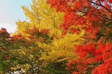 It is famous for its beautiful autumn colors.