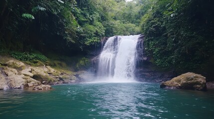 Fototapeta premium Lush green rainforest with a cascading waterfall and clear blue water.