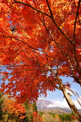 It is famous for its beautiful autumn colors.