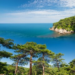 tropical island in the sea