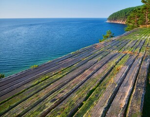 Obraz premium wooden bridge over the sea