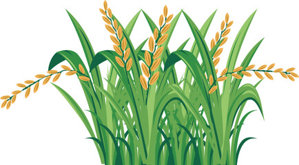 Fertile Rice Crop Farming