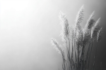 Black and white image of dry branches in fog. Natural background. Generated by artificial intelligence