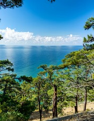 Obraz premium landscape of the sea