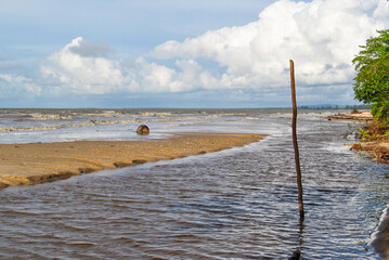 A tranquil beach scene showing gentle waves meeting the sandy shore under a vast blue sky with fluffy clouds. A wooden stick and lush greenery frame the peaceful coastal landscape.