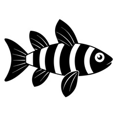 black and white fish