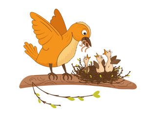 Bird feeds chicks with worms. Chicks waiting for food in the nest. Vector illustration with birds, nest, branch, mother bird, worm food. Picture for books, postcards, educational cards.
