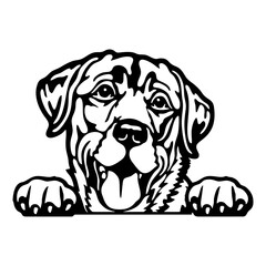 Peeking Labrador Retriever - Dog Breed - Pet Vector Portrait, Dog Silhouette Stencil - Cricut file EPS