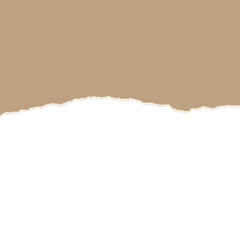 torn paper vector illustration