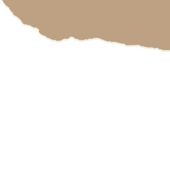 torn paper vector illustration
