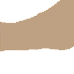 torn paper vector illustration