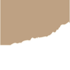 torn paper vector illustration