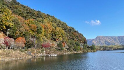 Fototapeta premium The trees leaves on the mountains were starting to change color. 