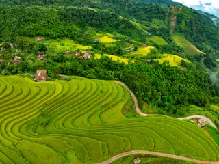 Schilderijen op glas Drone aerial view of rice terrace field in harvest season,Green agricultural fields in countryside at northern Vietnam © Panya