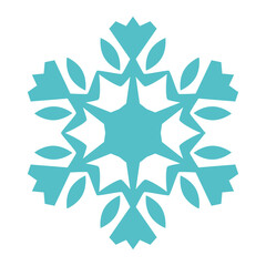 Christmas Snowflake Illustration