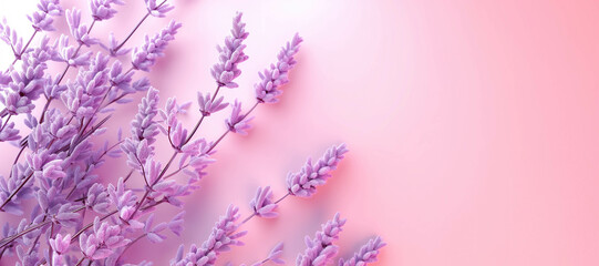 Naklejka premium purple lavender flower plants on peach background 9