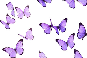 purple butterflies on isolated, acrylic painting, modern art, Generative AI