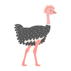 Cute ostrich isolated on white background. Cartoon nursery art baby character.