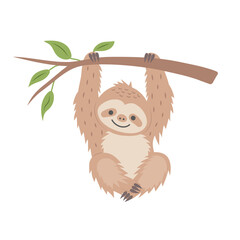 Cute sloth hanging on a branch isolated on white background. Cartoon nursery art baby character.