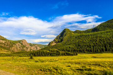Nature. Altai Mountains