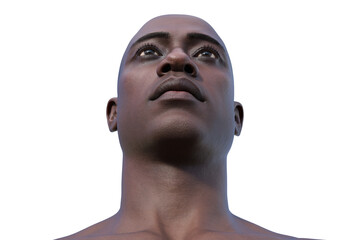 A young African man's hairless head from bottom view, 3D illustration