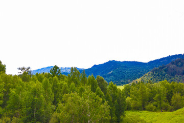Nature. Altai Mountains