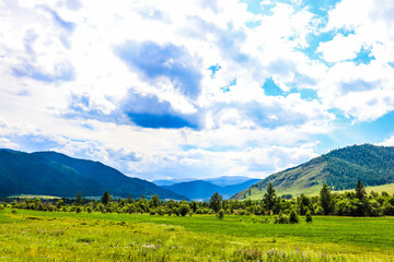 Fototapeta premium Nature. Altai Mountains