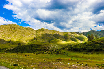 Nature. Altai Mountains