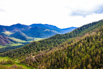 Fototapeta premium Pass. Altai Mountains