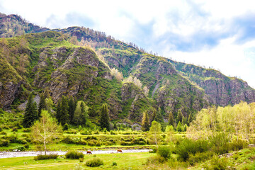 Altai Mountains