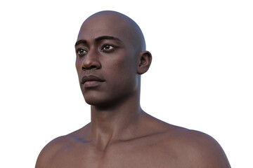 3D illustration of a man's face and neck